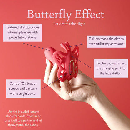 Butterly Effect